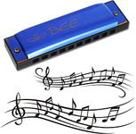 RosewineC Harmonica, 10 Holes 20 Tones Mouth Organ Key of C Stainless Steel Mini Blues Harmonica for Kids Adults Beginners and Performers