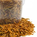 GardenersDream Dried Mealworms Mix - Wild Bird Food Large Variety (5L Tub)