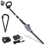 Cordless Pole Trimmer