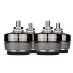 IsoAcoustics Gaia Series Isolation Feet for Speakers & Subwoofers (Gaia I, 100 kg max) – Set of 4