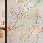 HomeVera Bird Printed GlassFilm Window Film Window Sticker Glass stickerFor Privacy, Sun Control, Decor for Home, Office & Bathroom (24 Inch X 48 Inch)