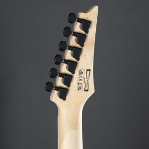 Ibanez Electric Guitar GRGR221PA – Aqua Burst Poplar Top