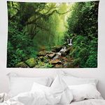 ABAKUHAUS Rainforest Tapestry, Forest in Nepal Footpath Wildlife Spring Plant and Stones Moisture Water Print, Fabric Wall Hanging Decor for Bedroom Living Room Dorm, 58 W X 43 L, Green Brown