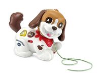 VTech Baby Walk & Woof Puppy, Pull-Along Baby Toy Dog with Music, Letters & Phrases, Interactive Gift for Infants 1, 2, 3 years +, English version