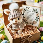 Hulezt Handmade Mini Bunny Hug Cute Easter Gift, 2026 New Soft Plush Rabbit Mini Bunny Hugs in Box with Card, Easter Basket Bunny Stuffer Women Men for Birthday, Mother's Day, Valentine's Day (Brown)