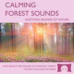 Calming Forest Sounds - Nature Sounds Recording - For Meditation, Relaxation and Creating a Soothing Atmosphere - Nature's Perfect White Noise -