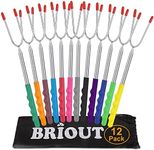 Briout Marshmallow Roasting Sticks 