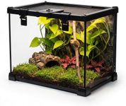 NEPTONION 20"x12"x14" Mini Reptile Glass Terrarium, Top-Opening Full-View Vivarium with Escape-Proof Lock & Feeding Door, for Small Reptiles & Inverts, Such as Crested Geckos & Arboreal Tarantulas.