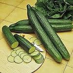 Cucumber, Long Green Improved, Heir