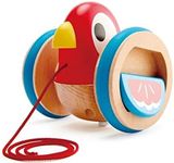 Hape Pull Along Bird Outdoor Learni