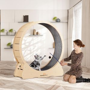 Homegroove XL Cat Exercise Wheel – Large Indoor Running Wheel