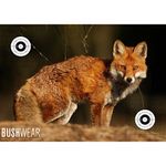 BushWear Fox Realistic Real Ize Life Size Fox Targets Reflective Eye Stickers 5 Pack A1 Poster 594X841Mm