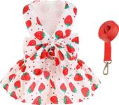 KUTKUT Dog Dress Bowknot Harness Leash Set for Small Dogs Cats Straberries Pattern Girl Dog Dresses Cute Puppy Pet Doggy Breathable Princess Dress for Maltese, Shihtzu, Pekingese (Size:M, Chest:40cm)