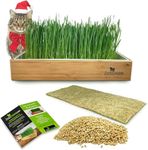 Self-Watering Cat Grass Kit – Grow 