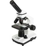 Celestron – Celestron Labs – Monocular Head Compound Microscope – 40-800x Magnification – Adjustable Mechanical Stage – includes 2 Eyepieces and 10 Prepared Slides