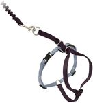 PetSafe Come With Me Kitty Harness and Bungee Leash, Harness for Cats, Large, Black/Silver