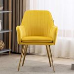 CHAIR DECOR Yellow Velvet Chair for Home | Modern Accent Armchair in Soft Velvet Fabric with Golden Legs | Set of 2 Premium Accent Chair for Living Room Bedroom Restaurent | 2 pc