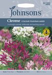 Johnsons 24464 Flower Seeds, CLEOME Colour Fountain Mixed