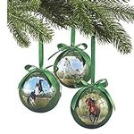 SAGEFINDS at Liberty Horse Ornament