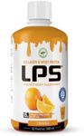 Nutritional Designs LPS Liquid Collagen & Whey Protein Supplement - Sugar-Free Non-GMO Drink - Promotes Healthy Skin & Hair for Men & Women (Orange)