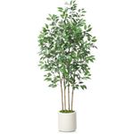 SOGUYI Ficus Artificial Tree 6ft Fake Silk Plant for Home Decor Indoor, Faux Floor Tree in White Imitation Ceramic Planter with Green Fake Moss for Home Office Corner Indoor Decor, Set of 1