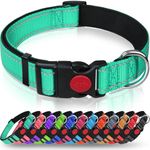 Taglory Reflective Nylon Dog Collar with Safety Buckle, Adjustable Pet Collars with Soft Neoprene Padding for Extra Large Dogs, Turquoise