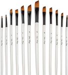 Artist Paint Brushes Set, 12pcs Pro