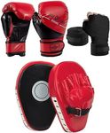 3-in-1 Boxing Gloves and Punching M