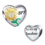 LSxAB Sunflower You are My Sunshine BFF Friendship Charm for Best Friend Compatible with Pandora Charms Bracelets