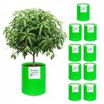 STI GREEN HDPE Grow Bags for Plants 24X36 Inch (Pack of 10) | 260 GSM Heavy Duty UV-Protected Round Green Colour Plant Bags for Terrace and Vegetable Gardening | Strong & Reusable|