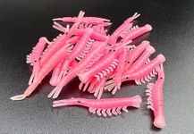 EVERBAY Shrimps for Fishing Soft Lures - Fake Worms Fishing Lures – Carp Fishing Bait – Brown Trout Barbel Lures Silicone Artificial Bait Lifelike Swimbait Luminous Bait - 20pcs 4cm/0.4g - Pink