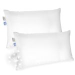 East Coast Bedding Goose Down Pillow, King, Queen & Standard Size Down Pillows, 550 Fill, Soft & Fluffy Pillow, King Size, Set of 2