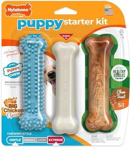 Nylabone P
