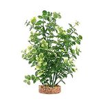 Fluval Aqualife Green Bacopa Plant, Plastic Aquarium Plant Decoration 8 in