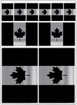 Biomar Labs® Set (10pcs) Vinyl Stickers Decals Canada National Canadian Silver Flag Maple Leaf Emblem Car Motorcycle Bike D 66