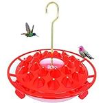 Hummingbird Feeders for Hanging Out