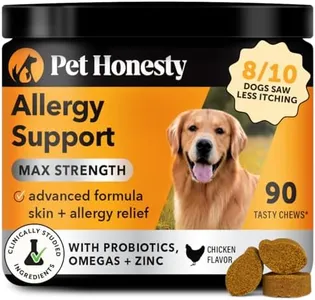 Dog Allerg