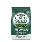 Pennington Kentucky 31 Tall Fescue Penkoted Powder Coated 5 Lb