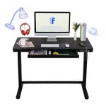 FLEXISPOT Comhar EW8B Electric Standing Desk Home Office Electric Height Adjustable Standing Desk Sit Stand Desk with 120 * 60cm Black Wood Top (Black Frame+Black Wood Top)