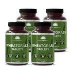 SAPTAMVEDA Organic Wheat Grass Tablets 480 Tablets (120 * 4) 500mg Each - Natural Antioxidant Superfood, Supports Healthy Joints, Immunity Booster, Non-GMO, Vegan