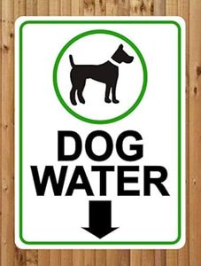 Dog Water 