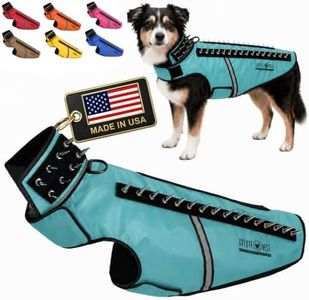 CoyoteVest SpikeVest Dog Harness Vest for Small Dogs, Reflective Dog Vest with Spikes to Shield Your pet from Coyotes, Raptor and Animal Attacks, Anti Hawk Vest, Made in USA (L-Turquoise)