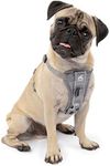 Kurgo Tru-Fit Smart Harness, Dog Harness, Pet Walking Harness, Quick Release Buckles, Front D-Ring for No Pull Training, Includes Dog Seat Belt Tether (Grey, X-Small)