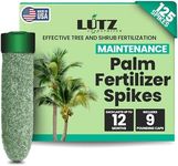 Lutz Corporation Maintenance Palm T