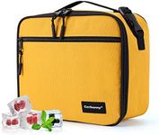 Small cooler bag Small lunch bag fo