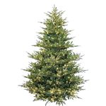 Holiday Stuff 7ft Rocky Mountain Balsam Fir Christmas Tree Pre-lit with 600 LED Lights Upgraded with Remote Control, 213cm, Realistic Appearance (7ft)