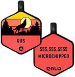 QALO Customized Pet ID Tag, Durable Personalized Dog & Cat Name Tag, Custom Engraved Silicone ID Dog Tags and Cat Tags, Jingle-Free & Lightweight, Sunrise Wild One