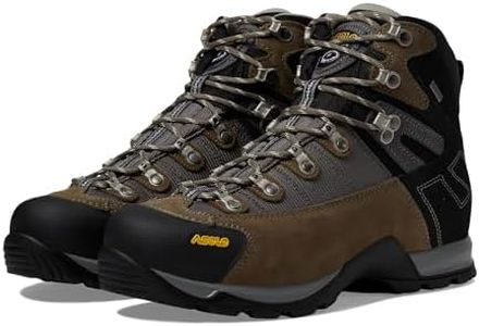 Asolo Men's Fugitive GTX MM Hiking Boot, Truffle/Stone, 10.5
