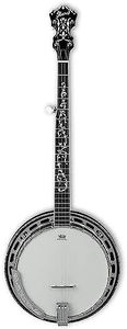 Ibanez B30