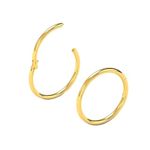 Body CAC Gold 2PCS-20G(0.8mm) 6mm Hinged Snug Fit Nose Rings, Medical Implant Grade 316L Surgical Steel Segment Clicker Hoop Piercing Lip Helix Cartilage Rook Ring Earrings